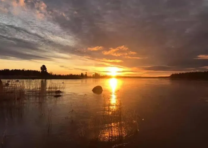 Modernia Luonnon Keskellae Daire *