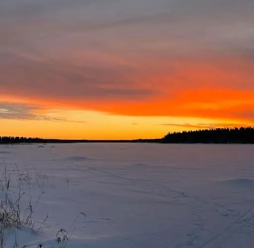 Modernia Luonnon Keskellae *