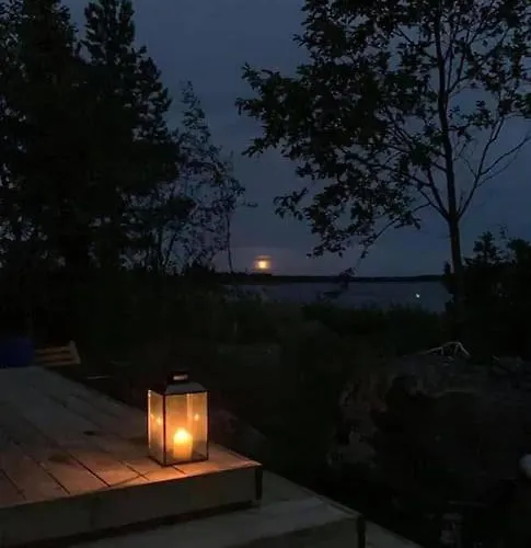 Modernia Luonnon Keskellae Daire *