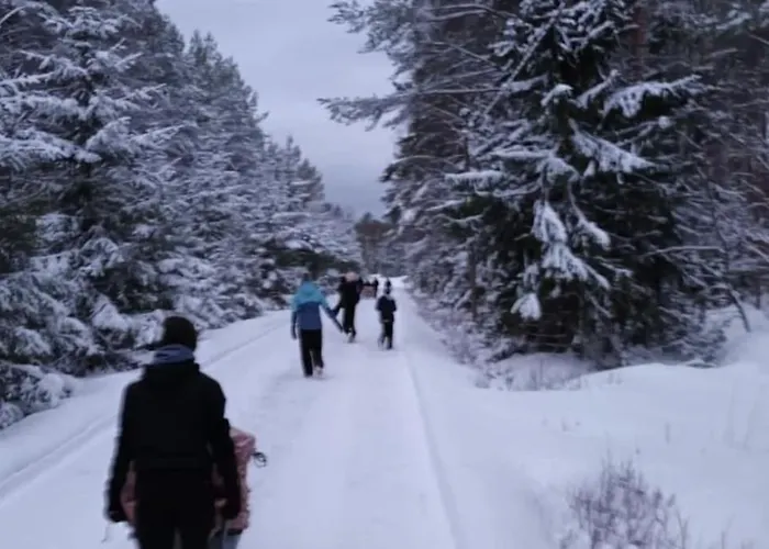 Daire Modernia Luonnon Keskellae Soderudden