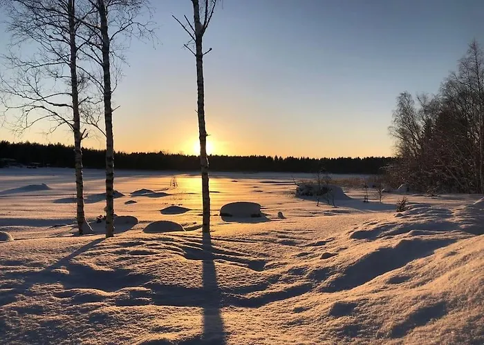 Modernia Luonnon Keskellae Daire